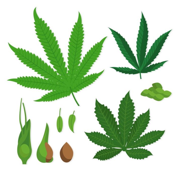 Navigating the Canadian Delivery Landscape The Best Apps for Drivers