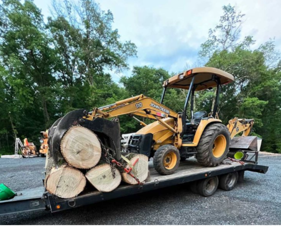 Why Professional Services Matter For Property Tree Trimming